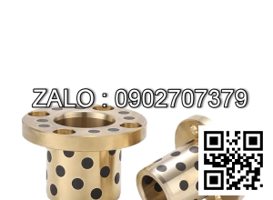 Bạc Đồng Tự Bôi Trơn Mặt Bích MPGZ 40x50x45