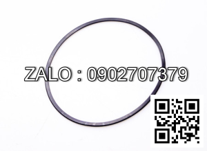 Ring Seal 16312-52171