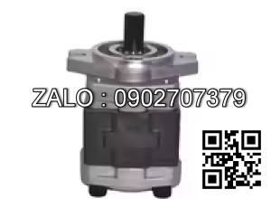 Hydraulic Pump SGP1-36FRH9-L317T