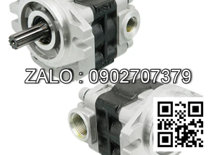 Hydraulic Pump 181N7-10001 FB20-7 TCM