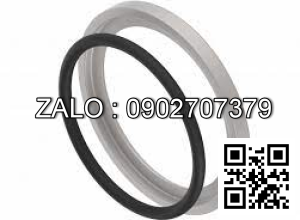 Support Ring 22658-52081L