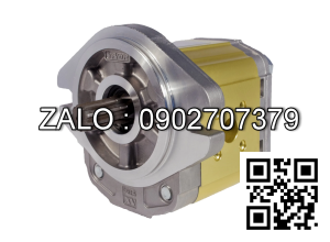 Bơm thủy lực XV - 2P/14 ( 14cc/rev) X2P4902HCBABơm trục then hoa 9 răng Ø16.5mặt định vị Ø36.5mm