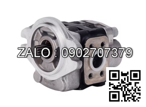 Bơm thủy lực SGP1A - 36D/F Bơm BR, trục 13 răng, D22 MĐV 82.5mm