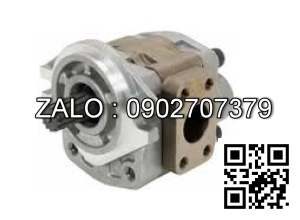 Bơm thủy lực SGP2B-48A1H11-LBơm 13 răng trục D22, mặt định vị 101.6mm