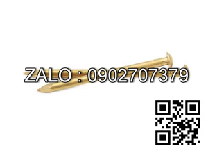 Đinh đồng 2 phân