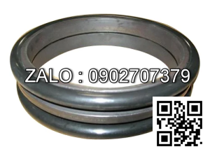 Phốt mặt chà Do TYPE 110-30-00085