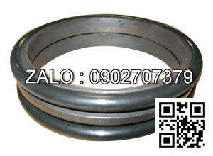 Phốt mặt chà Do TYPE 170-30-00110