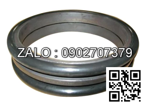 Phốt mặt chà Do TYPE 9G5343