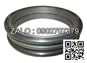 Phốt mặt chà Do TYPE 9W6690