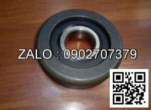 Vòng bi khung nâng 45x119x29 180709K