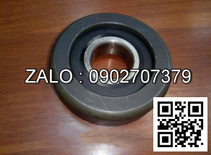 Vòng bi khung nâng 45x89x30 NUTR45ZK