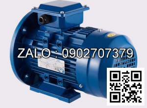 Motor điện đề dùng cho xe nâng TCM 10 tấn