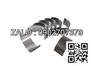 Bộ miễng dên , Miễng cốt máy cos STD động cơ RVI RENAULT TRUCK 8140.43C.2586 , 4 CYL , 2800 CM3