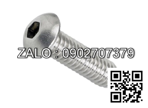 Bulong dau luc giac inox M5*50 ren dai 20