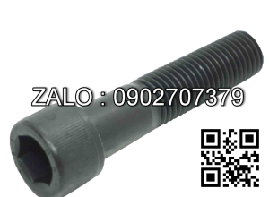 Bulong lục giác M24x220mm, ren lửng