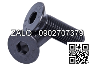 Bulong mạ kẽm M16x180mm