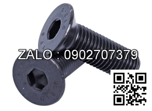 Bulong M6x40mm, ren suốt thép đen + Ecu + long đền phẳng + long đền vênh