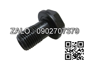 Bulong bánh đà HangCha WF491GP