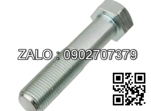 Bulong N163-110004-000