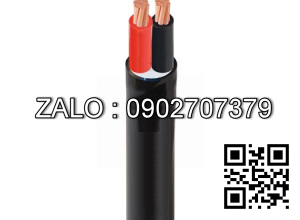 Cáp điện Cadivi CVV-2×4 (2×7/0.85) 300/500V