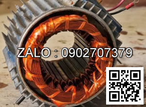 Quấn motor cẩu trục 5T ABUS