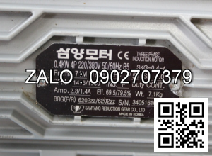 Motor 3 pha 380V SKG-0.2-4 ( cốt âm ) ( động cơ giảm tốc )