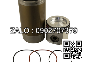 piston động cơ DEUTZ TCD9 , 6 CYL , CM3