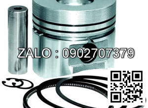 Piston Ring 1004110-X2