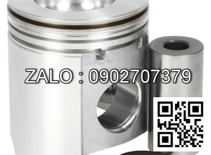 piston động cơ LISTER PETER TR2 , 2 CYL , CM3