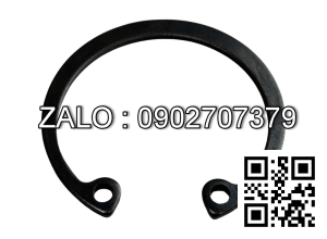 Phe piston FD50-100Z8, CPCD50-100 15943-82511,YQX100.070