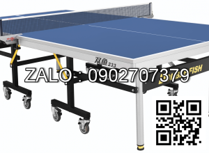 Bàn bóng bàn DOUBLE FISH DF-233