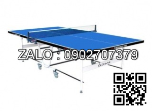 Bàn bóng bàn DF-339