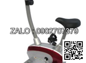 Xe đạp thể lực cố định Royal MUB-549C