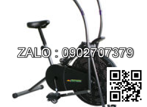Xe đạp tập thể dục liên hoàn tay chân Royal 963