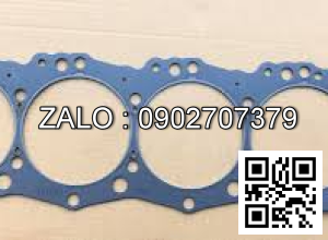 Ron quy lát động cơ ISUZU 4HK1