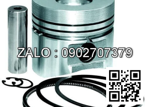 Piston Ring Set K21,K25+0.5 N-12036-GS00A