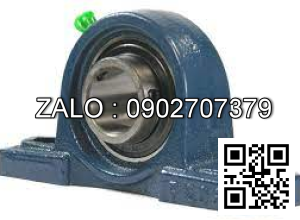 Vòng bi Ucp205-16, Vòng bi Fbj Ucp205-16