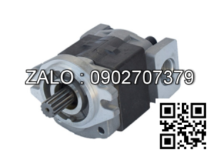 Bơm thủy lực DBDS10K1X/315