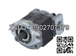 Bơm thủy lực DBE6-1X/315YG24K4M