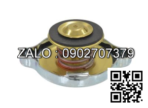 CAP-RADIATOR 13 PSI 3048470