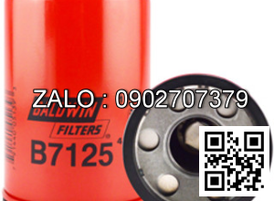 Lọc B7125 Baldwin