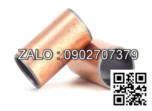 Bạc Lót Đồng Tự Bôi Trơn SF1 25x33x45