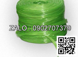 Dây ni lông bẹ