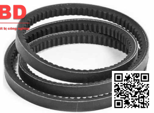 Dây curoa mitsuboshi 310 J8