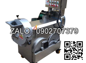 Máy thái rau củ quả công nghiệp đa năng HZ100