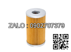 Lọc nhiên liệu 20801-02021