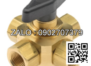 Van bi mạ kẽm ren trong và ren ngoài 5 ngã DN100