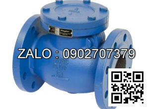 Van 1 chiều mặt bích DN100