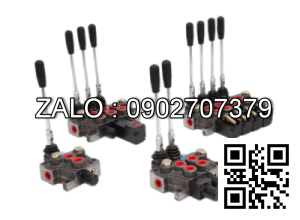 Van Khí Máy Hàn Tig Hàn Inox Riland WS200S (AC220V có khóa ngược)