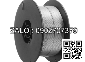 Dây hàn Mig lõi thuốc tự bảo vệ vỏ vàng tím 1.0 (1KG/cuộn) S-Shield E71T-GS